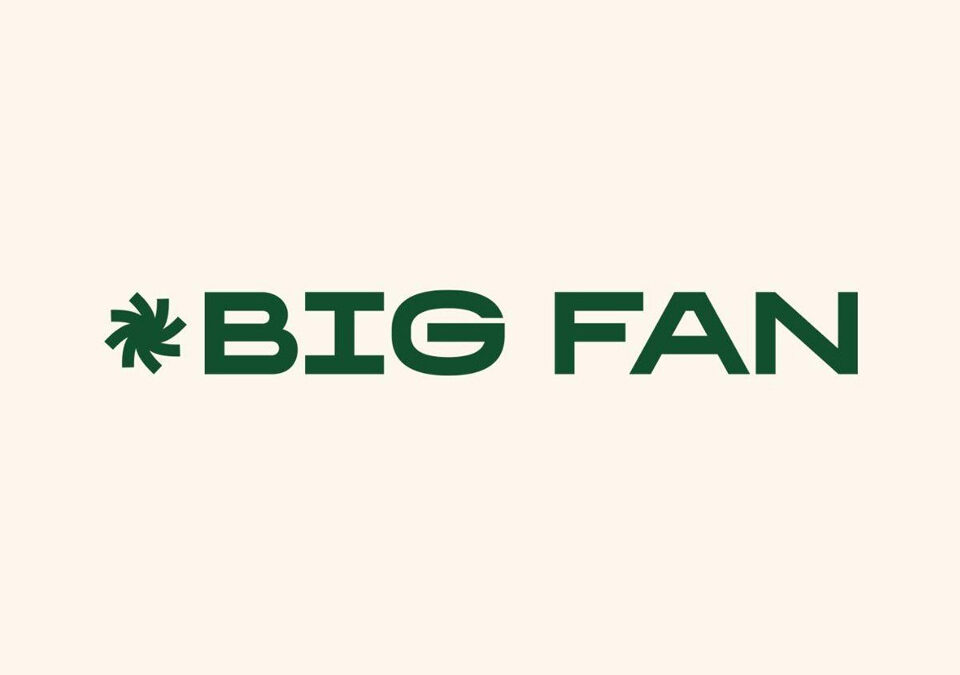 Big Fan Announce Internships Programme | Applications OPEN!