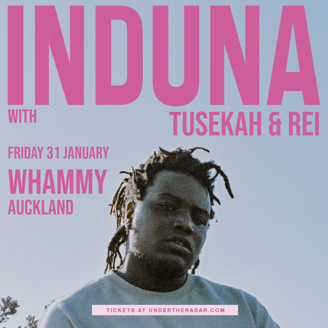 InDuna Presents: “A Night of Fusion Afro-Pop, Soul and Modern Electronic Sounds”