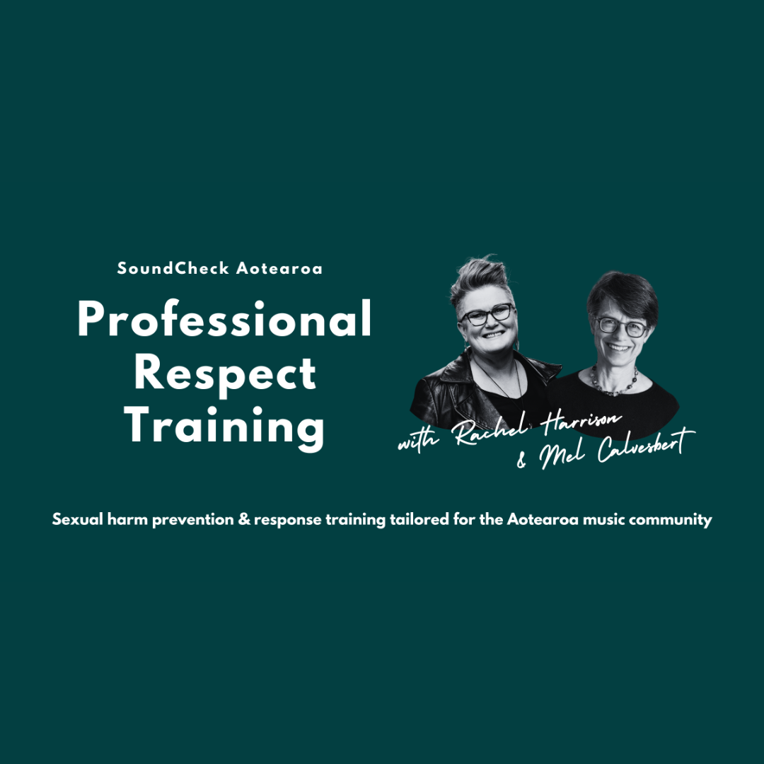 Start Your New Year with Professional Respect Trainings
