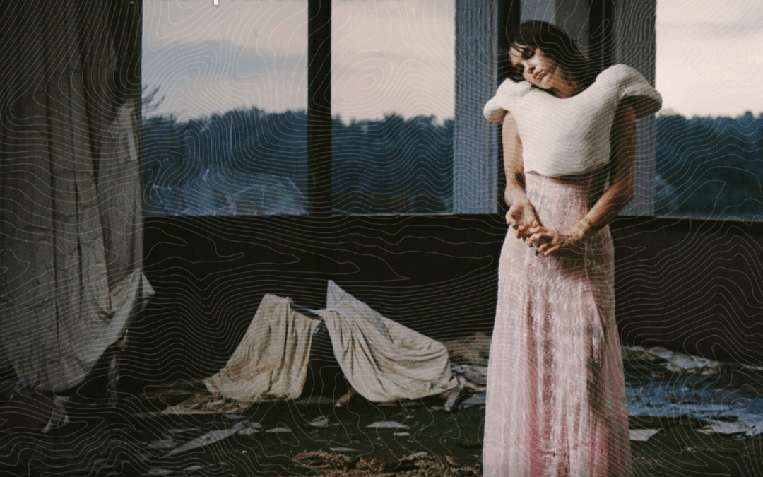 International Newsletter – November | Noema 2025